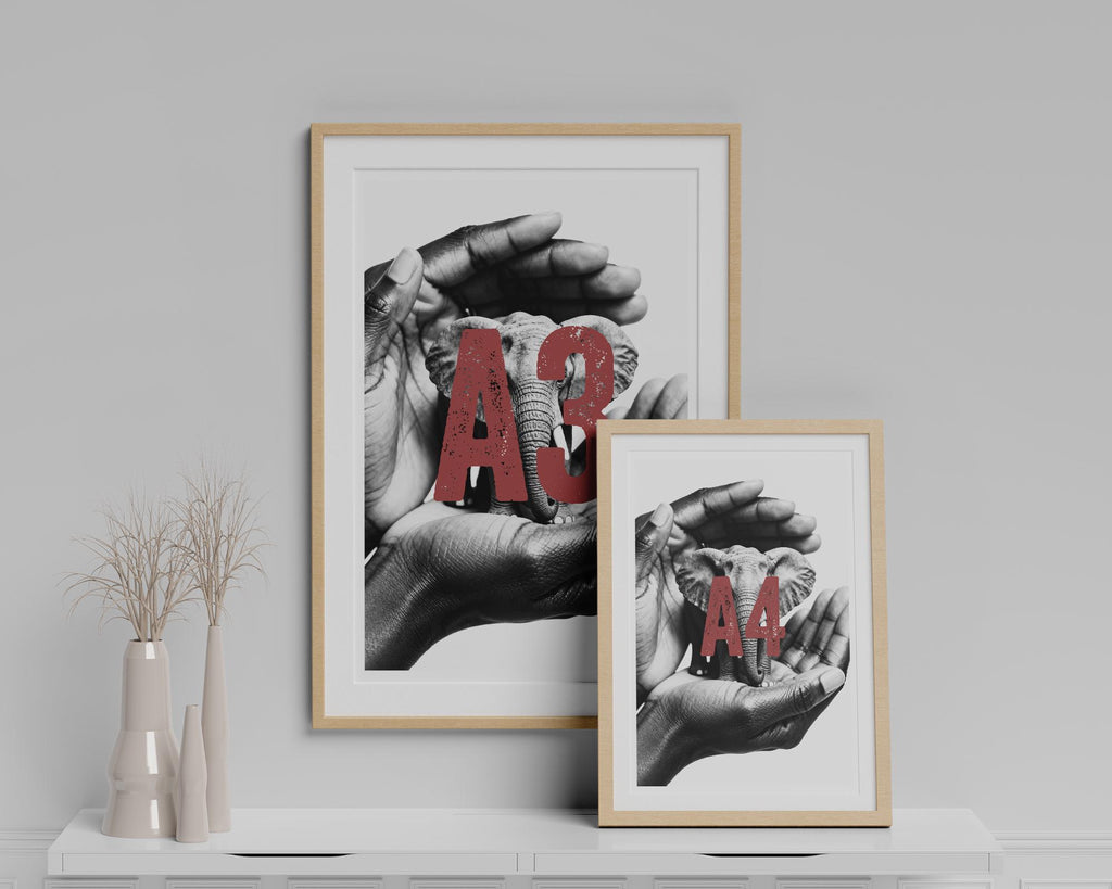 Two framed prints on a white shelf with a gray wall background