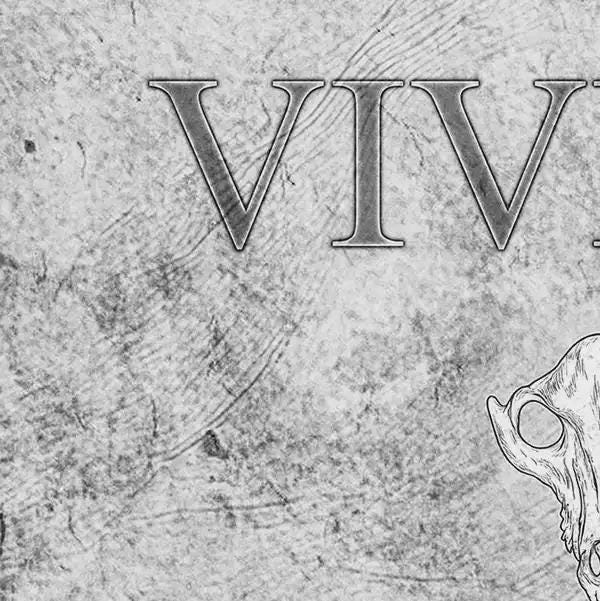 Gray textured background with 'VIV' text and a stylized face on the right.