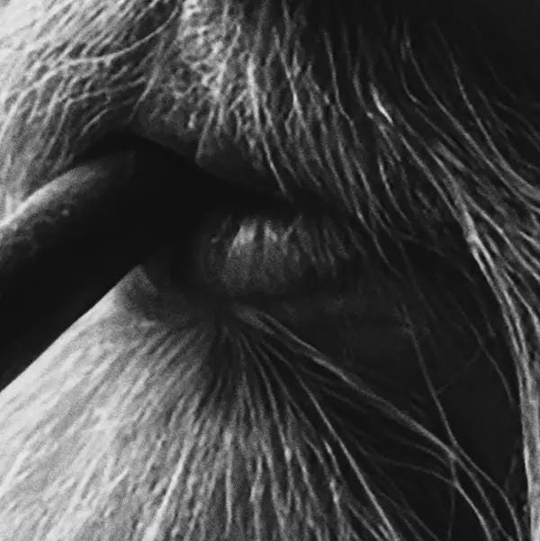 Funny Viking Hot Tub Art Print | Man Cave Smoker Poster