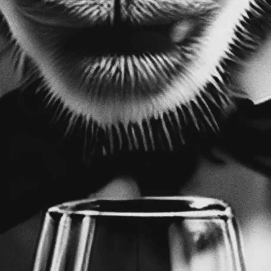 Close-up of a ram's face with a glass in the foreground